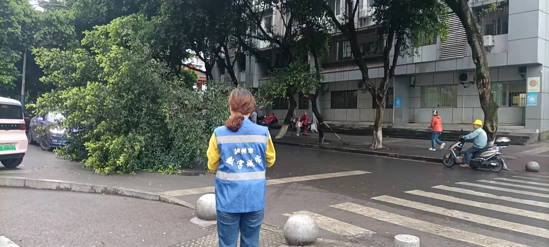堅持雨后精準采集，共護市民出行安全